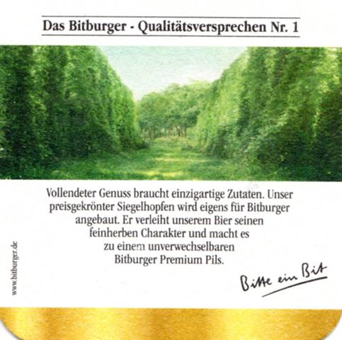 bitburg bit-rp bitburger quali versp 6b (quad185-nr 1)